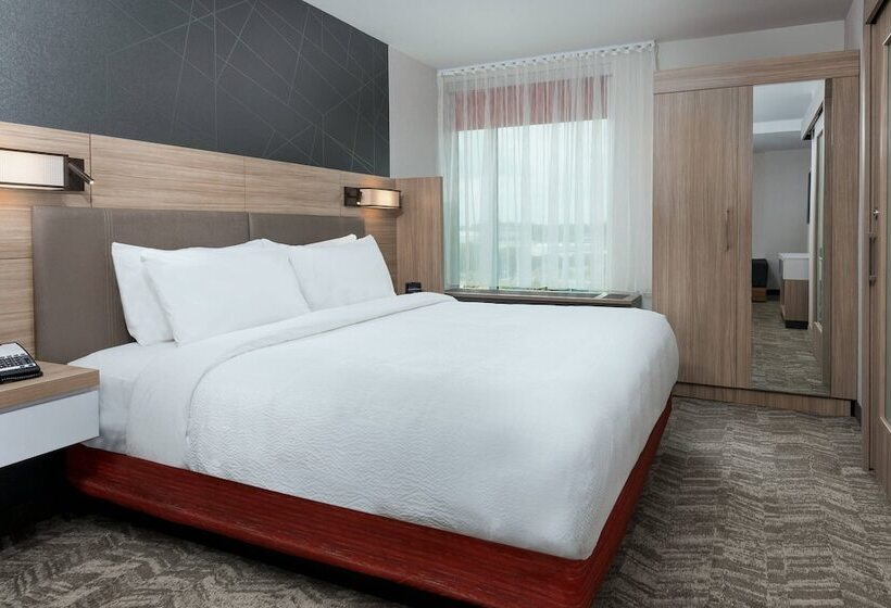 فندق Springhill Suites Lakeland