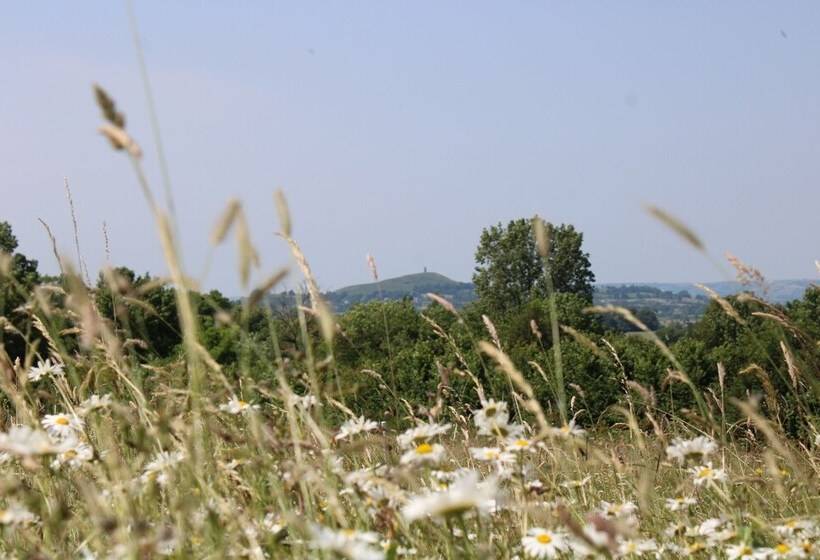 ペンション Banbury Meadow