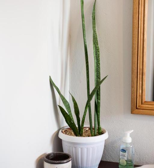 פנסיון Vlettershof Guest House