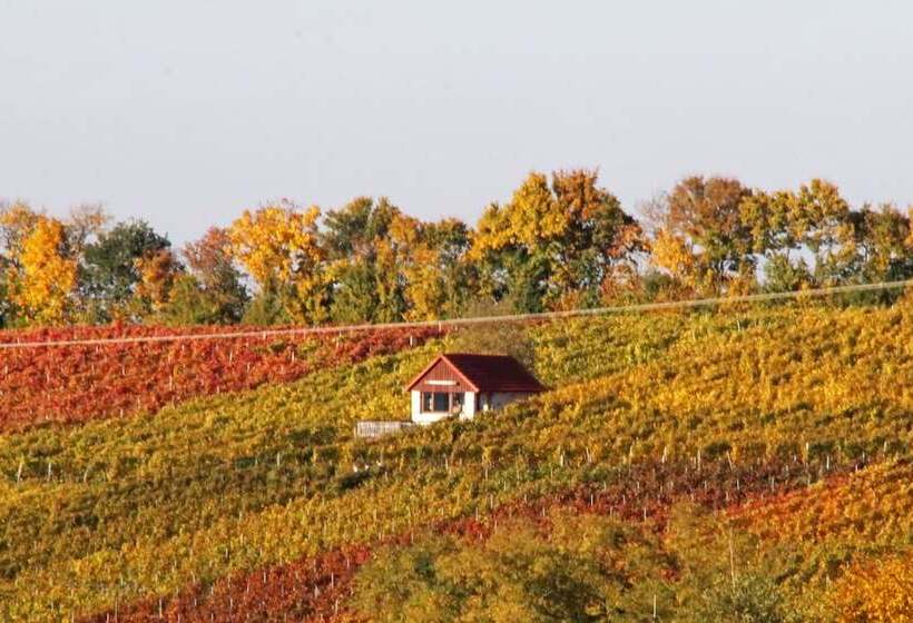 펜션 Winzerbett Kessler