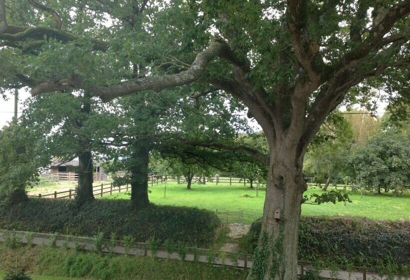 A Devon Rural Retreat