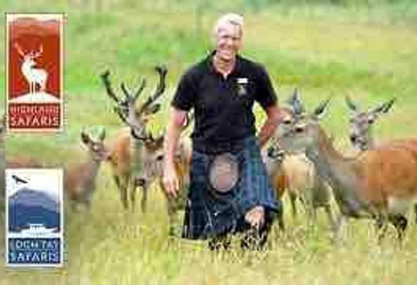 A Fairytale Thatched Highland Cottage