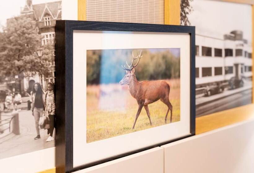 Aparthotel Adagio Leicester