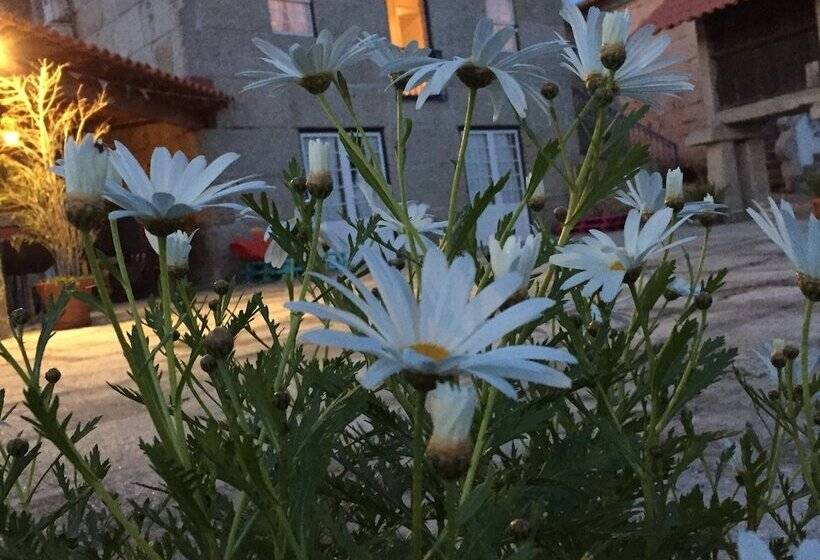 住宿加早餐  Casa Da Ventozella