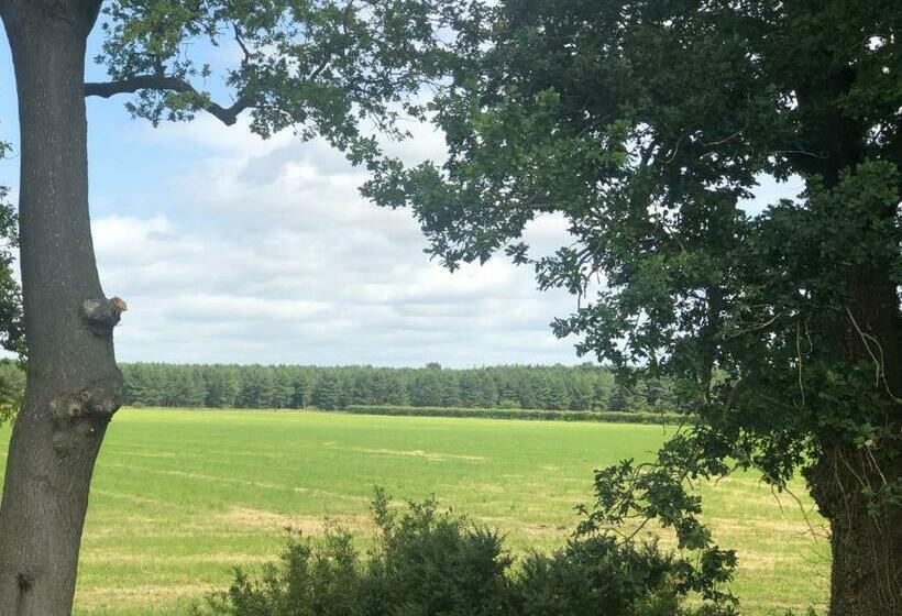 Bed and Breakfast Old School House
