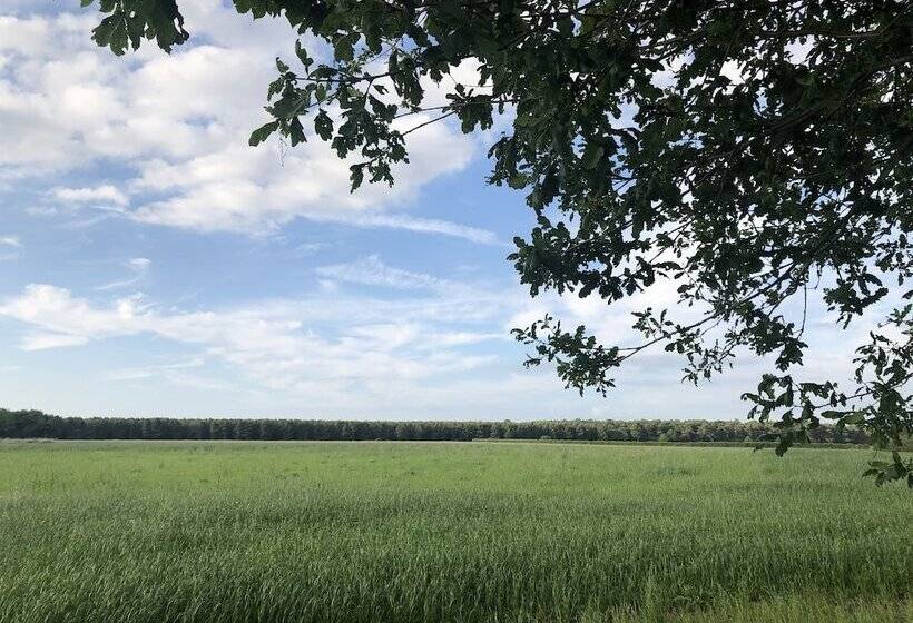 Bed and Breakfast Old School House