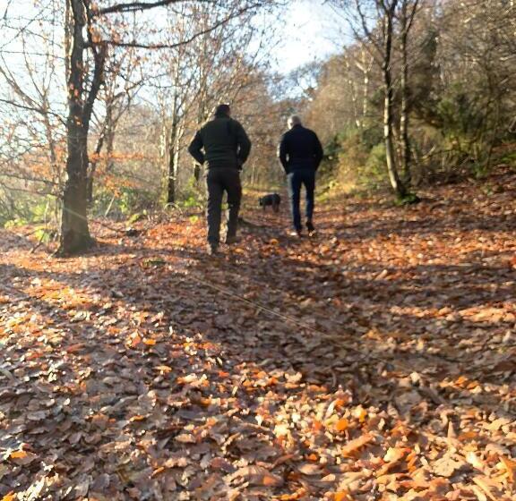 住宿加早餐  Ty Capel