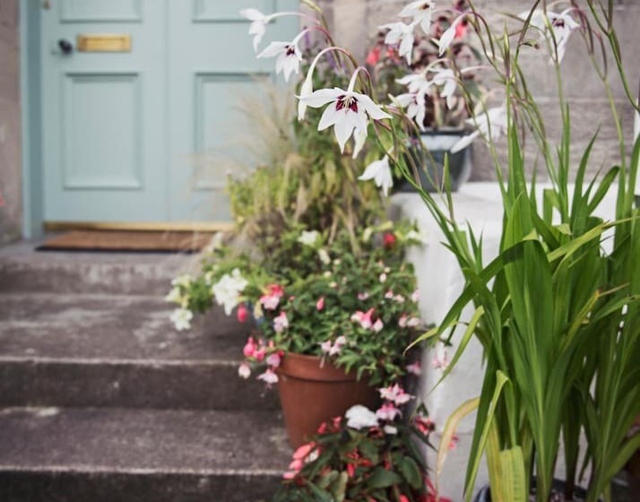 Bed and Breakfast Washington House