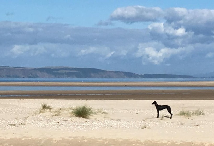 Bed and Breakfast Washington House