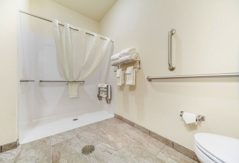 Cobblestone Hotel & Suites   Cozad