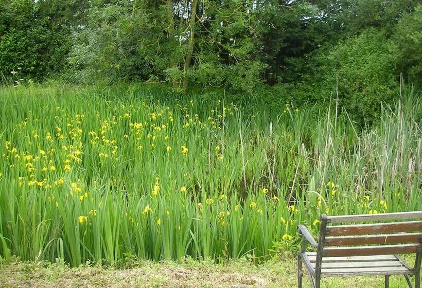 Grove Barn Bed And Breakfast