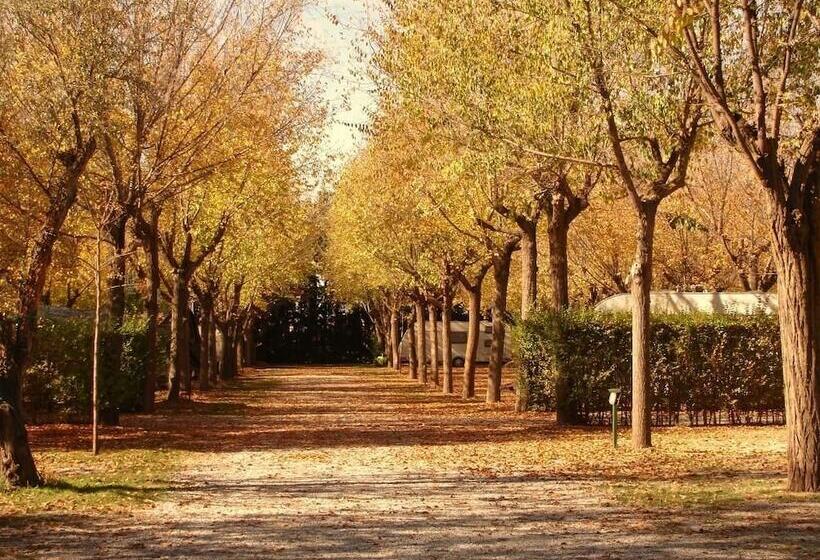 בית מלון כפרי Camping & Bungalows Suspiro Del Moro