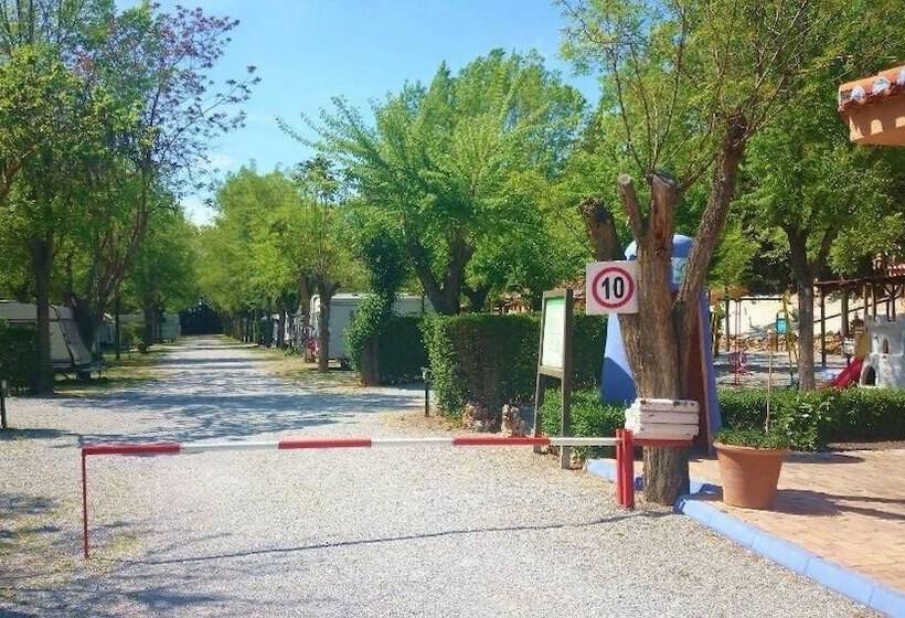 בית מלון כפרי Camping & Bungalows Suspiro Del Moro