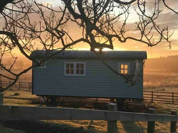 Hotelli Craigduckie Shepherds Huts