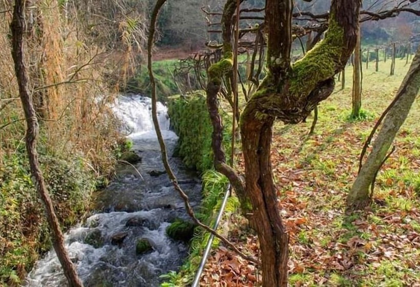 فندق ريفى Casa Da Cevidade