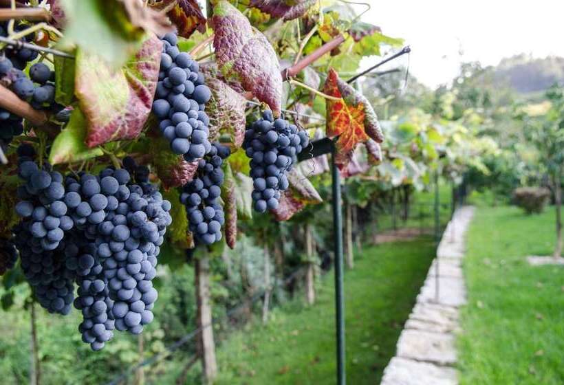 فندق ريفى Casa Da Cevidade