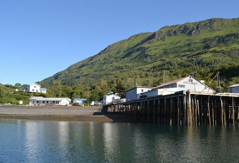 호텔 Zachar Bay Lodge Inc