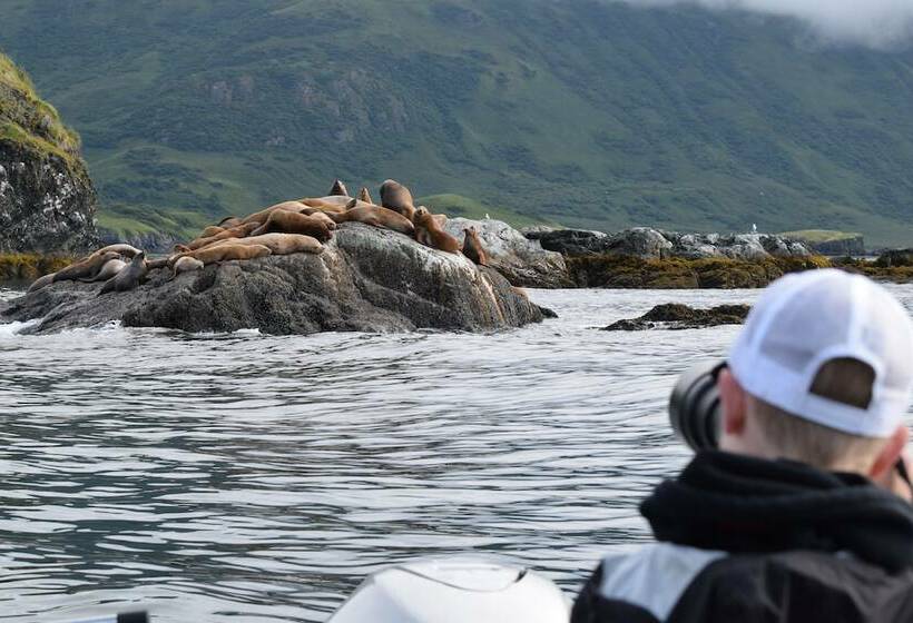 호텔 Zachar Bay Lodge Inc