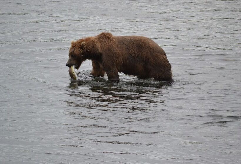 호텔 Zachar Bay Lodge Inc