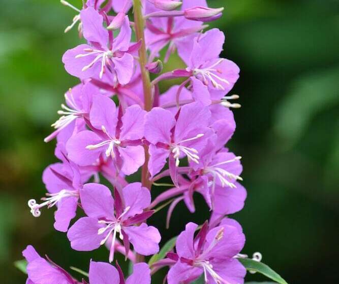 호텔 Zachar Bay Lodge Inc