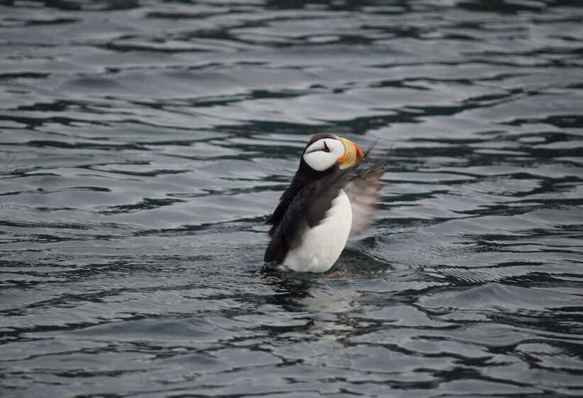 호텔 Zachar Bay Lodge Inc