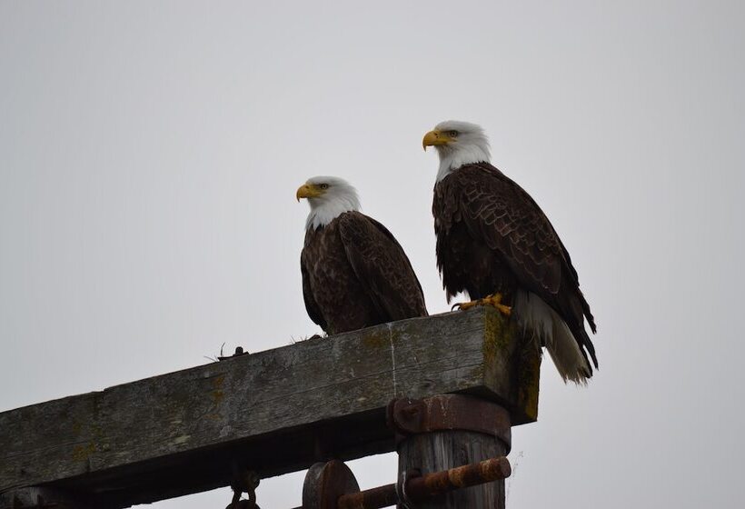 호텔 Zachar Bay Lodge Inc