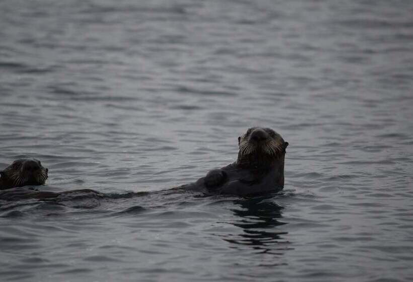 호텔 Zachar Bay Lodge Inc