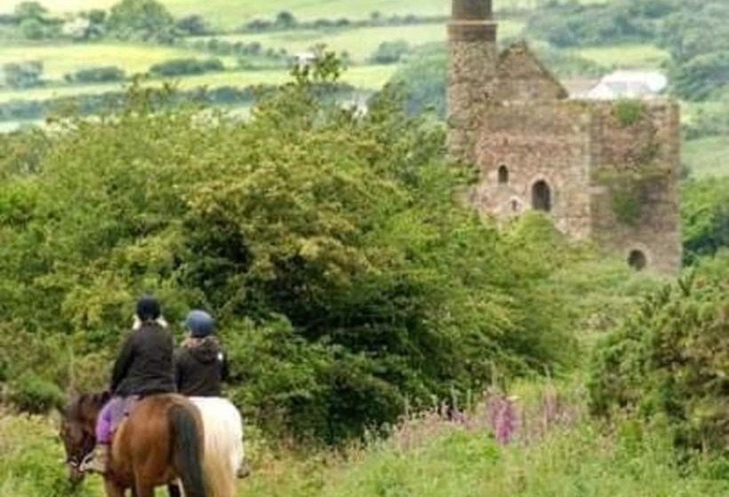 Lovely 3 Bed Annex Located On A Working Farm