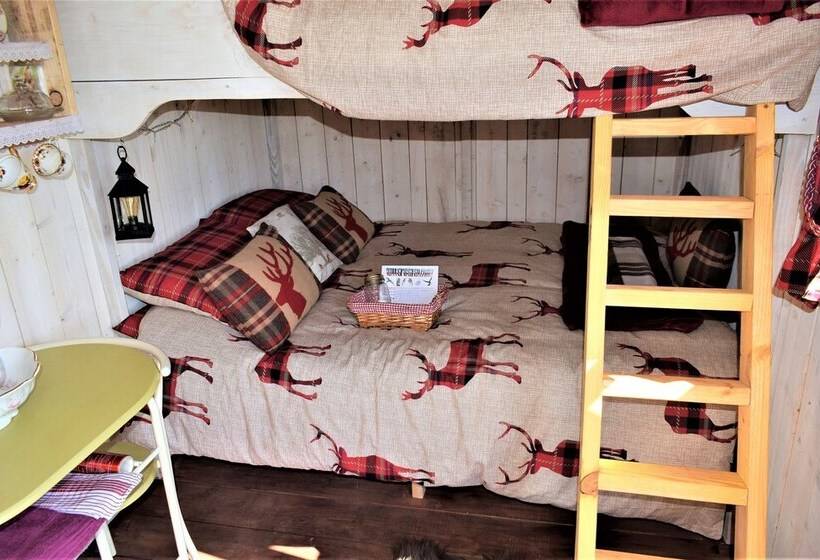 Meadow Shepherds Hut