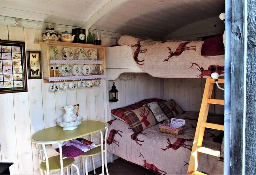 Meadow Shepherds Hut