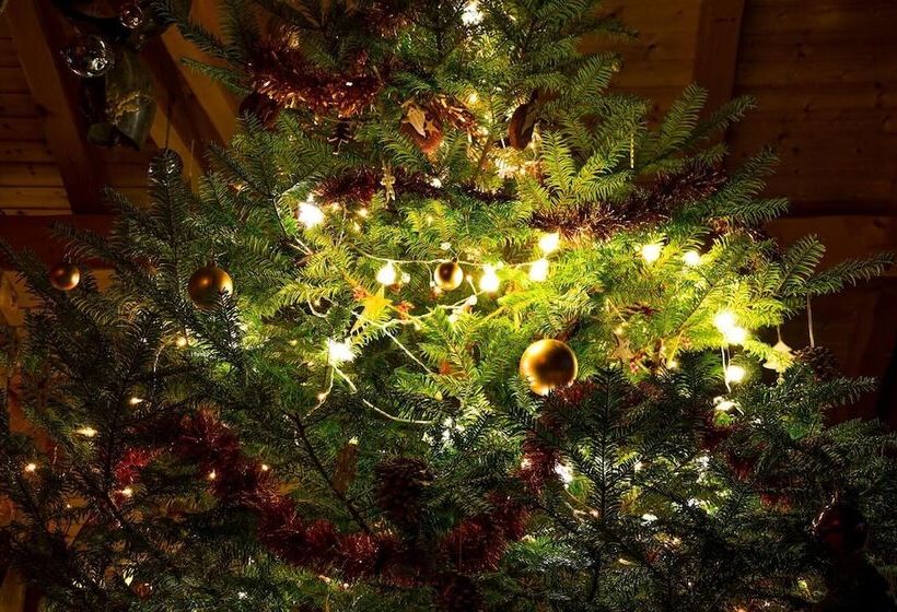 פנסיון B&b   La Portette