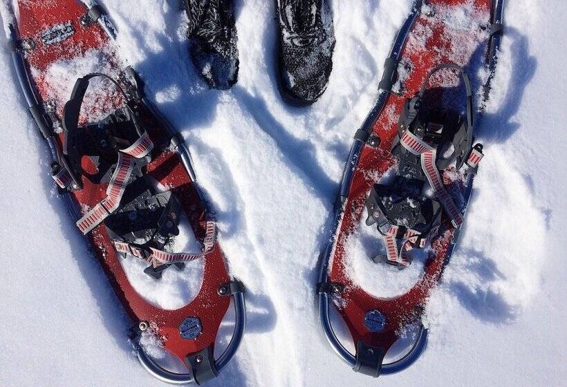 膳宿费 Blacksheep Village Igloo