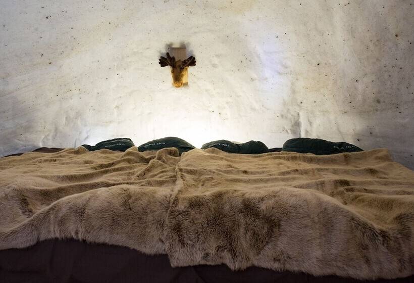 膳宿费 Blacksheep Village Igloo