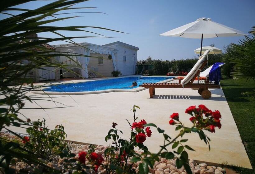 ペンション Villa Anamarija