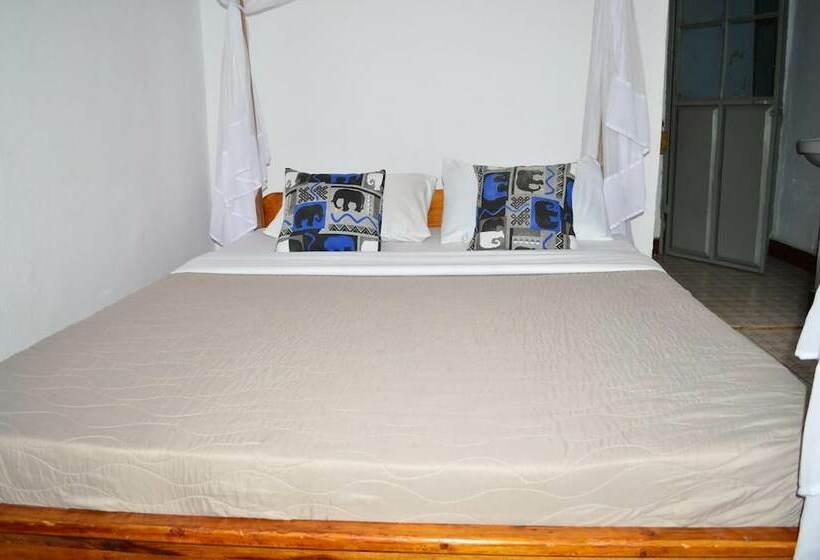 African Wagtail Hostel