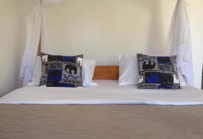 African Wagtail Hostel