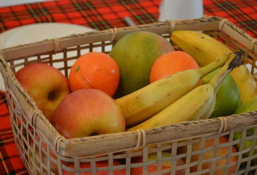 African Wagtail Hostel
