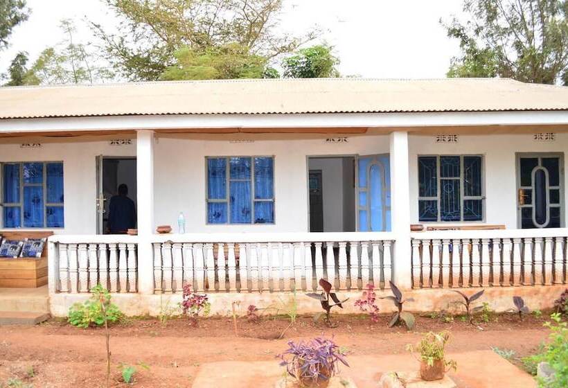 African Wagtail Hostel