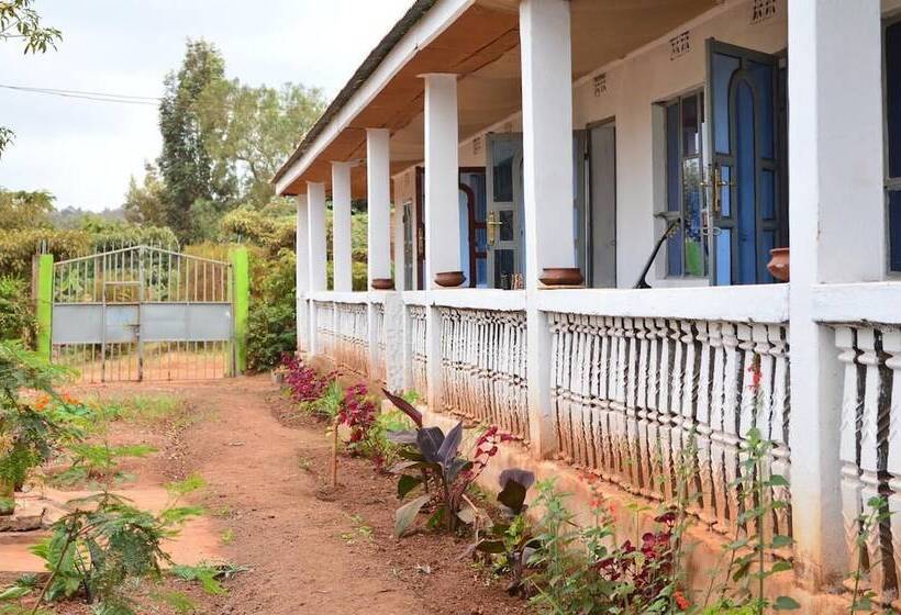 African Wagtail Hostel