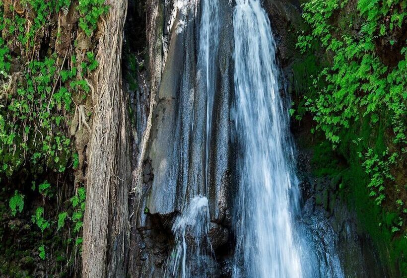 African Wagtail Hostel