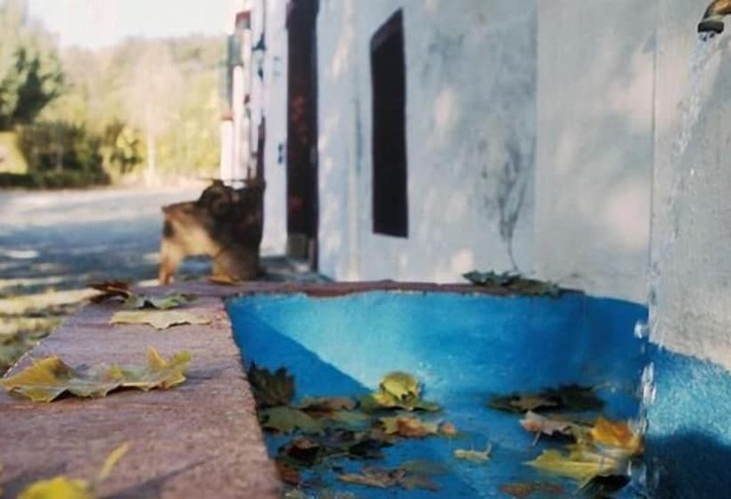 בית מלון כפרי Camping La Fundición