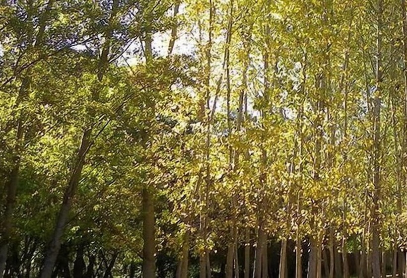 בית מלון כפרי Camping La Fundición