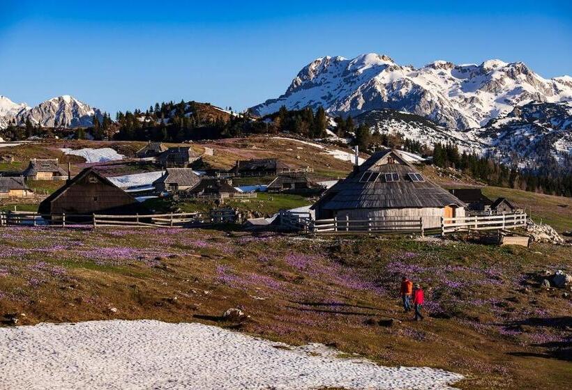 هتل Glamping Forest Edge