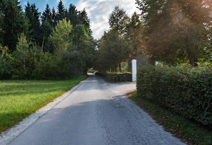 هتل Glamping Forest Edge