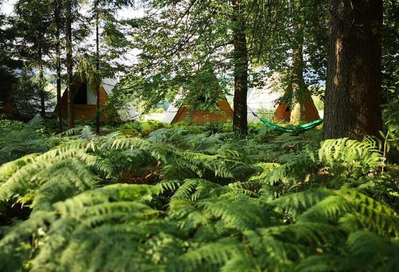 هتل Glamping Forest Edge