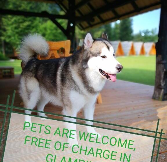 هتل Glamping Forest Edge