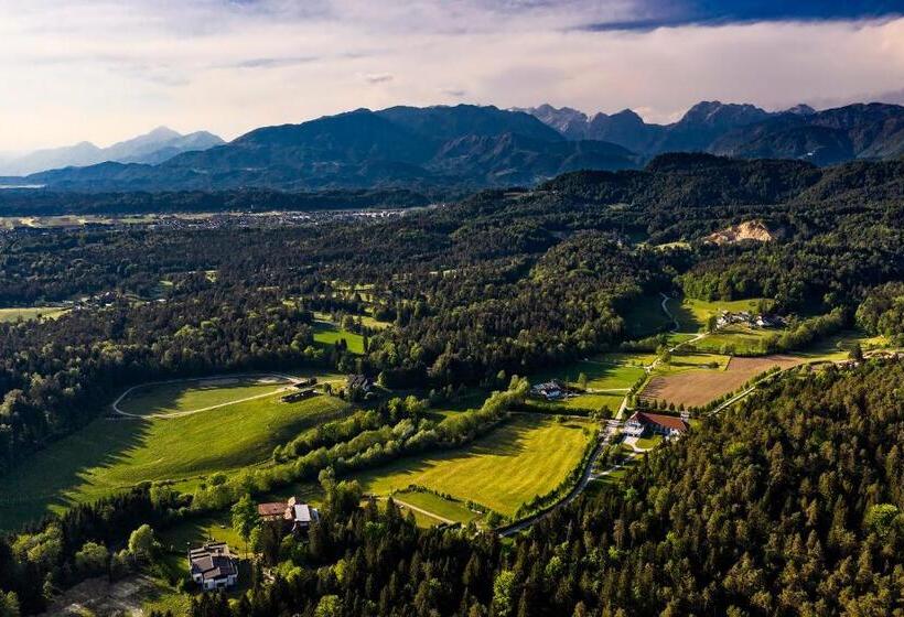 هتل Glamping Forest Edge