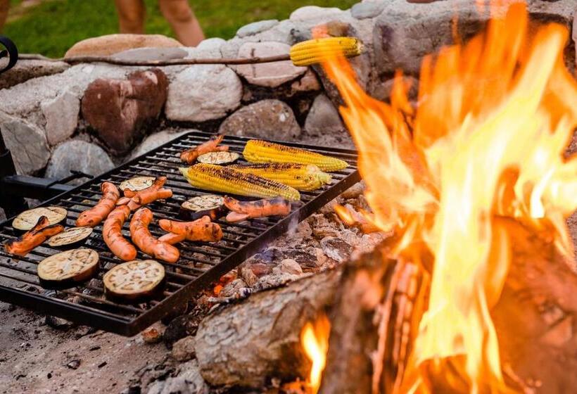 هتل Glamping Forest Edge