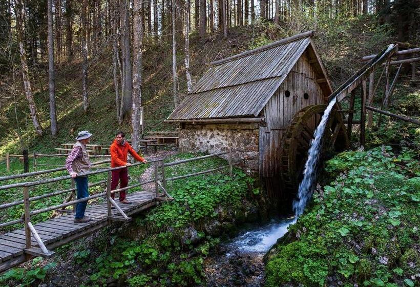 هتل Glamping Forest Edge