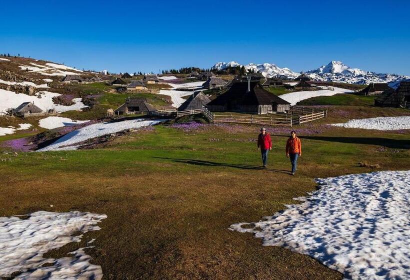 هتل Glamping Forest Edge